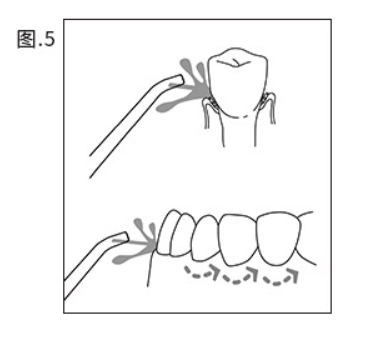 初学者如何使用便携式牙线器 Correctly align the position of the teeth